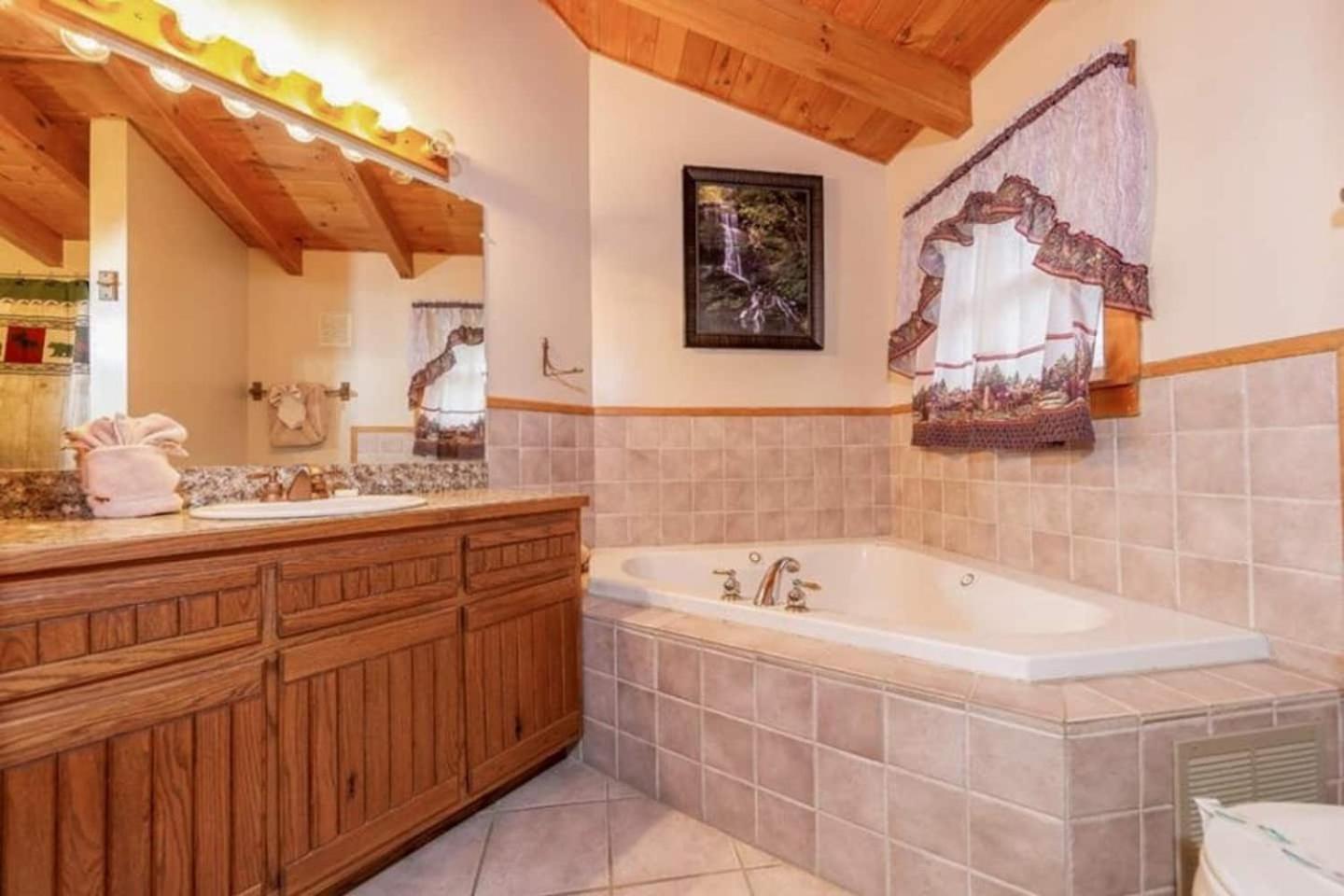 Pigeonforge Game Roomdog Friendlyhot Tub * Pigeon Forge